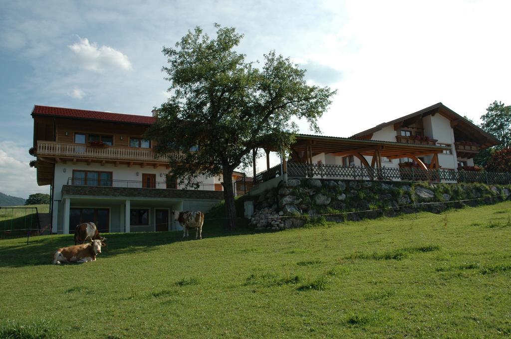Ferienhaus u. Appartement Knauss Schladming Exterior foto